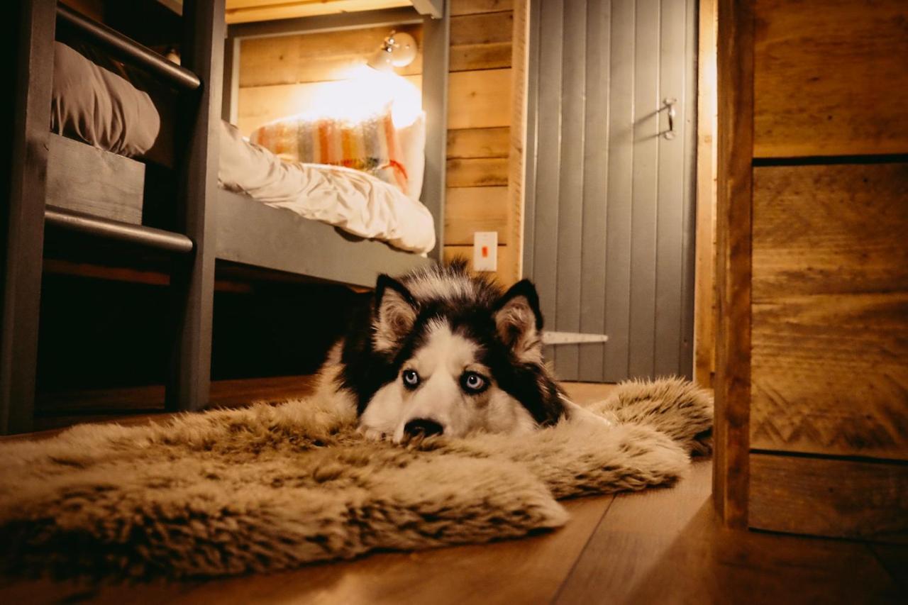 Llechwedd Glamping Hotel Blaenau Ffestiniog Kültér fotó