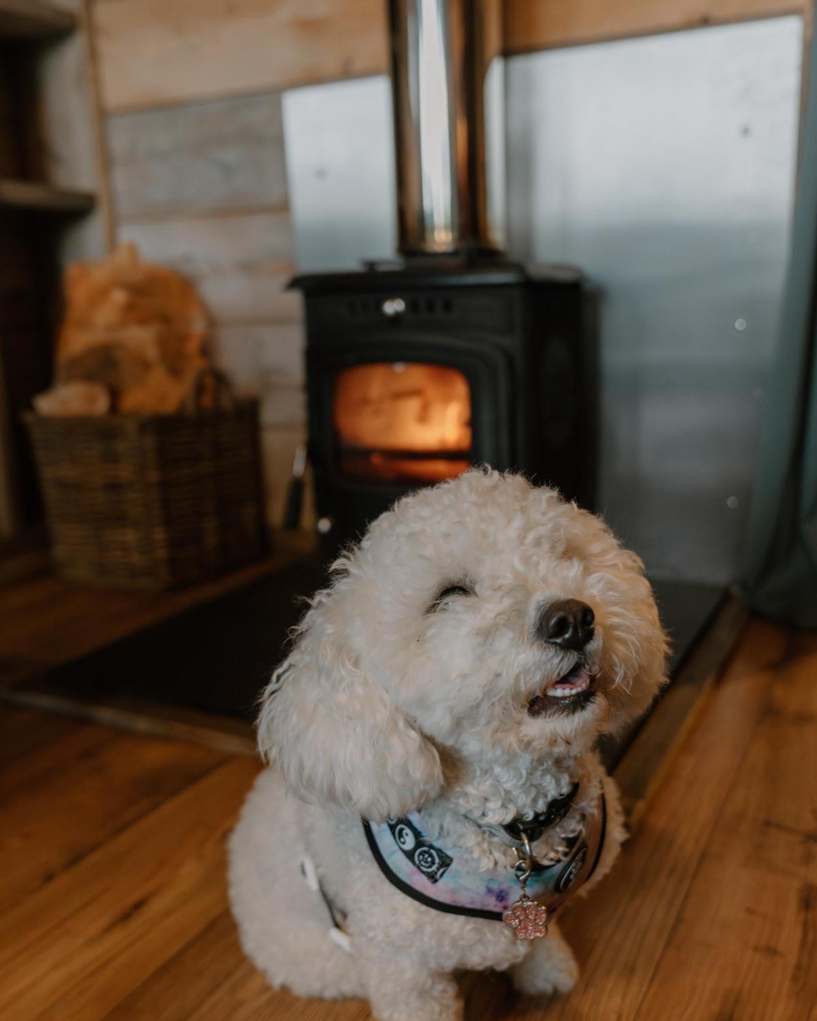 Llechwedd Glamping Hotel Blaenau Ffestiniog Kültér fotó